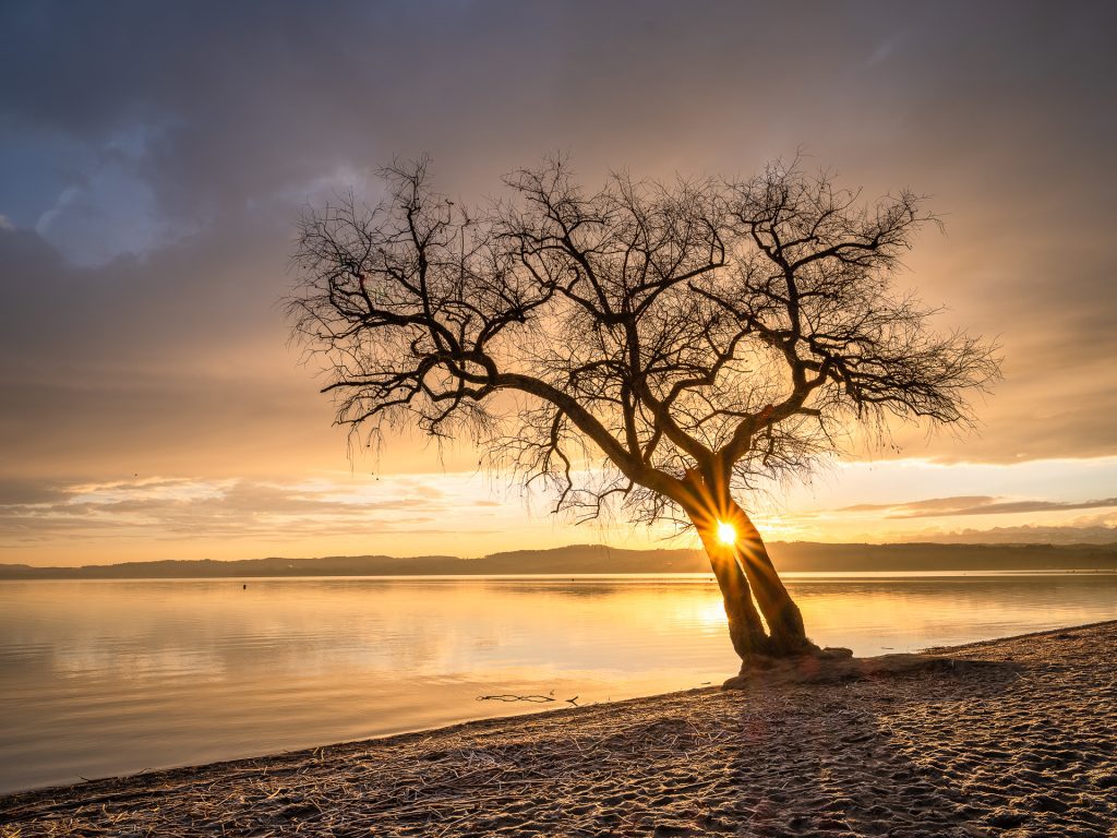 <a href="https://fuji.ch/photographer/martin-maegli/" class="text-product-title font-bold">Martin Mägli</a><p class="text-sm"><a class="text-not-green" href="https://fuji.ch/produkt/fujifilm-gfx-100s/">FUJIFILM GFX100S</a>/ <a class="text-not-green" href="https://fuji.ch/produkt/fujinon-gf-32-64mm-f4-r-lm-wr/">FUJINON GF32-64mmF4 R LM WR</a></p>