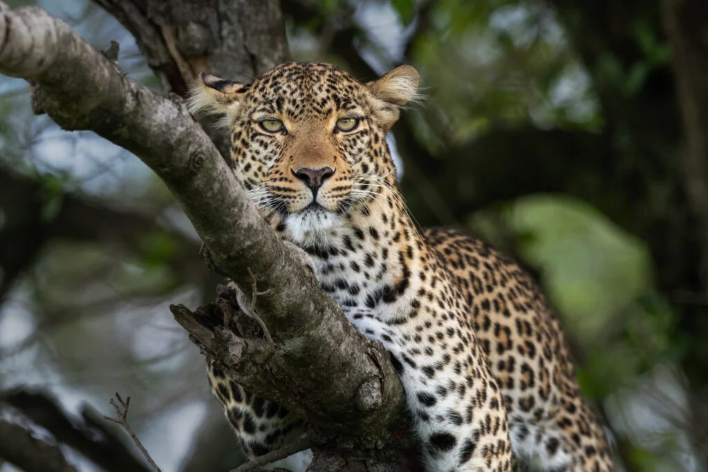 Fuji DSCF2552 1024x683 1