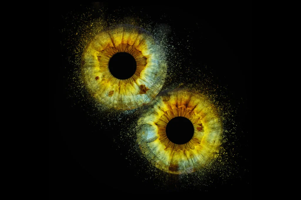 fuji artikel 35 1024x683 1