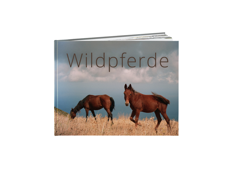 60000006 FB DD Hc A4 q