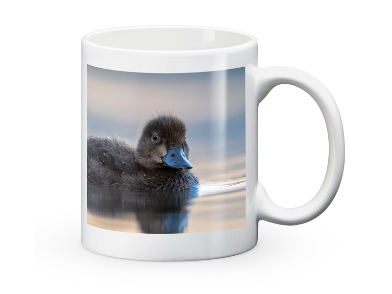 60007456 FG T Tasse weiss