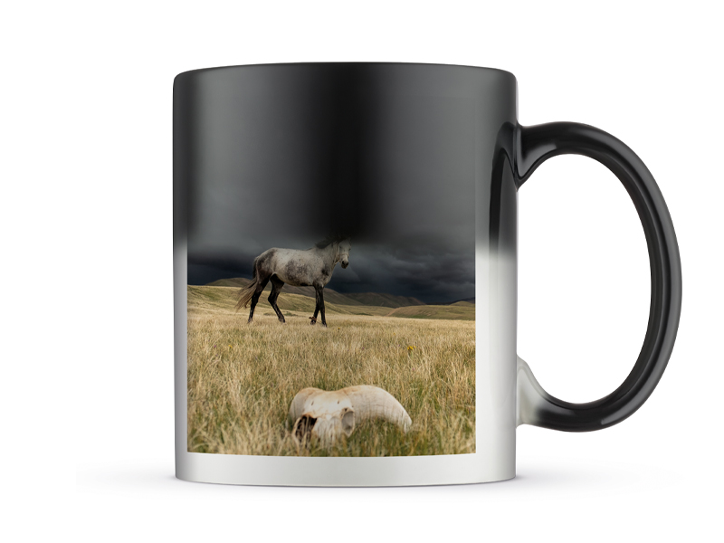 60007780 FG T Z Tasse