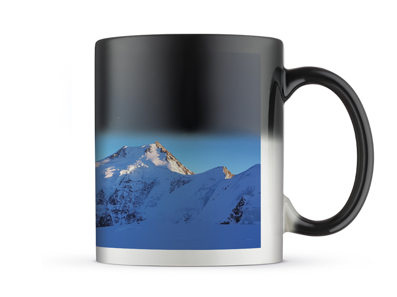 60007863 FG T Z Tasse Pano