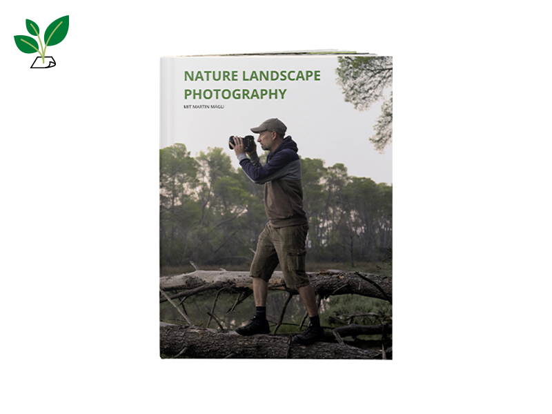 60008577 FB DD Nat Hc A4 h