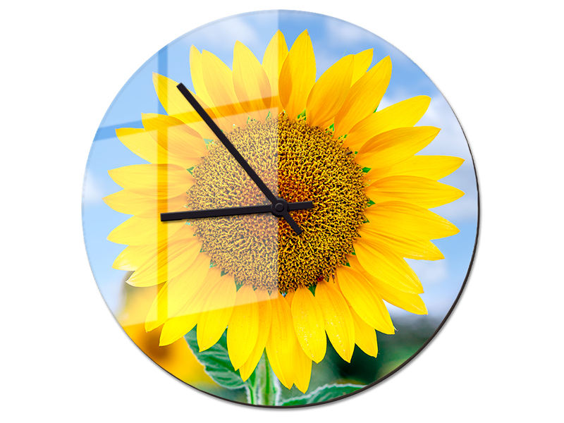 60009173 FG D A Wanduhr v2