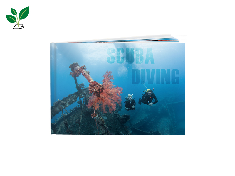 60010508 FB DD Nat Hc A4 q