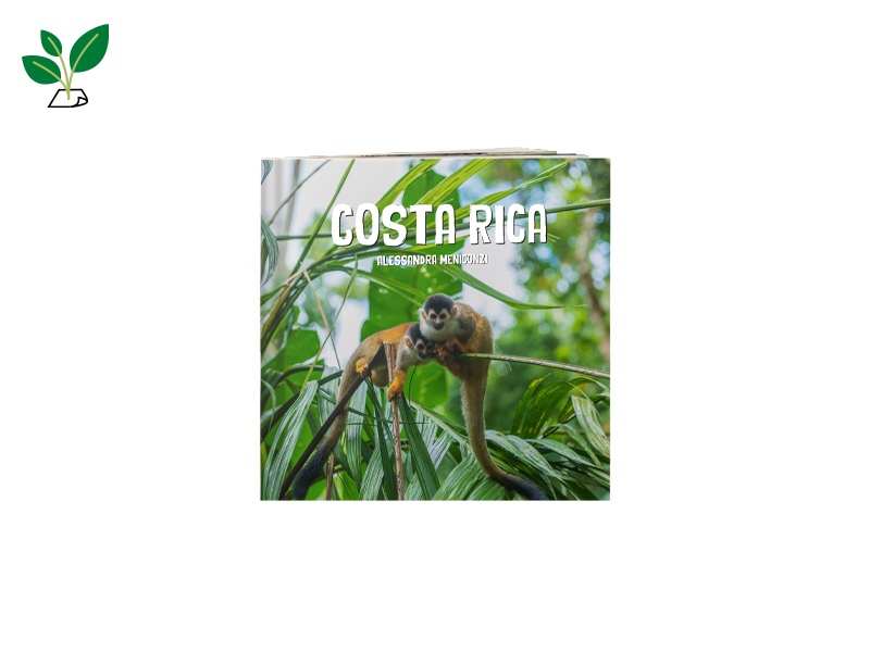 60010537 FB DD Nat Hc 20x20