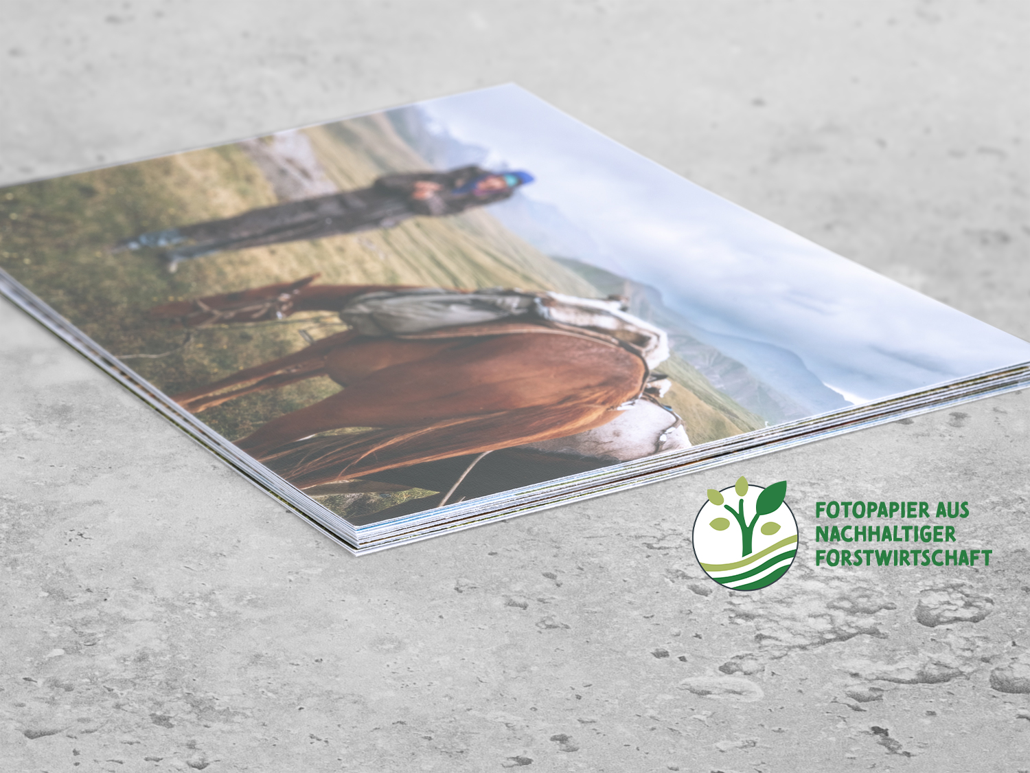 DETAILS Fotos Print 001 V1.1 1500 FSC de