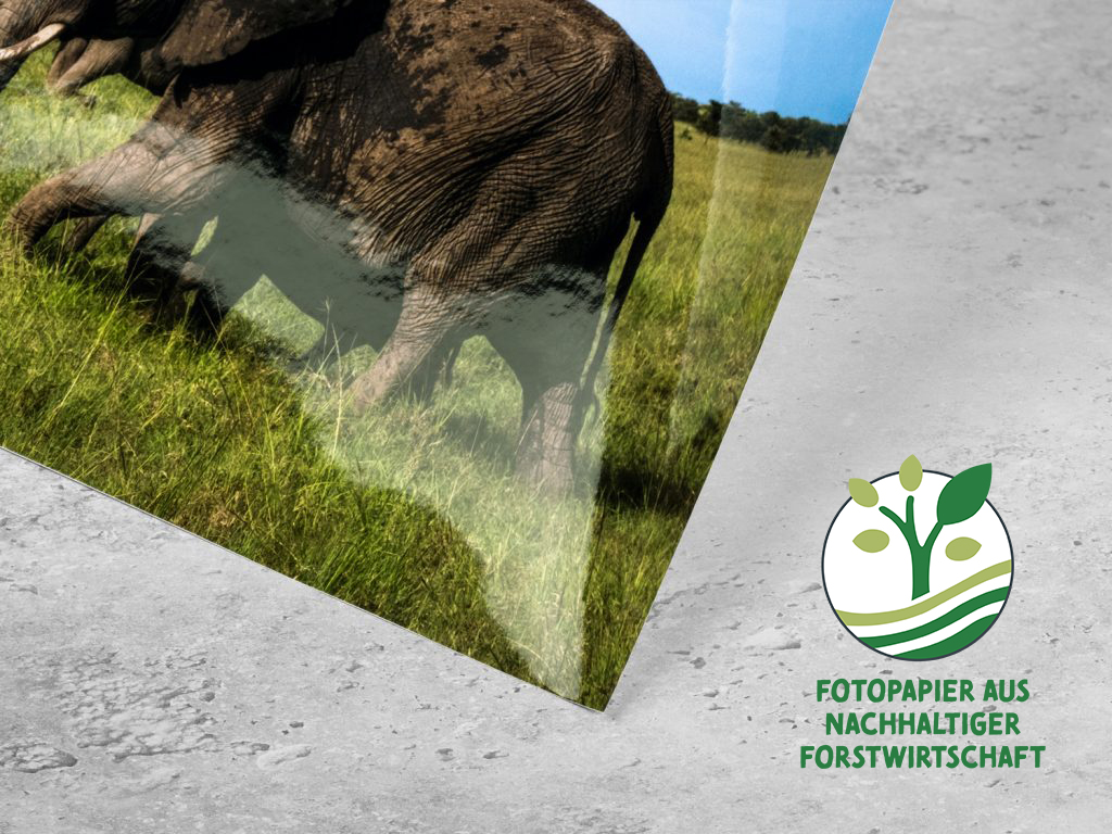 DETAILS Poster PP g FSC de 1024x768