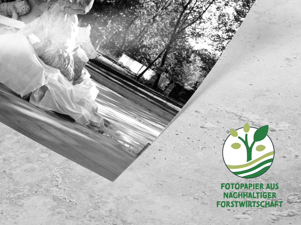 DETAILS Poster PP m FSC de 1024x768