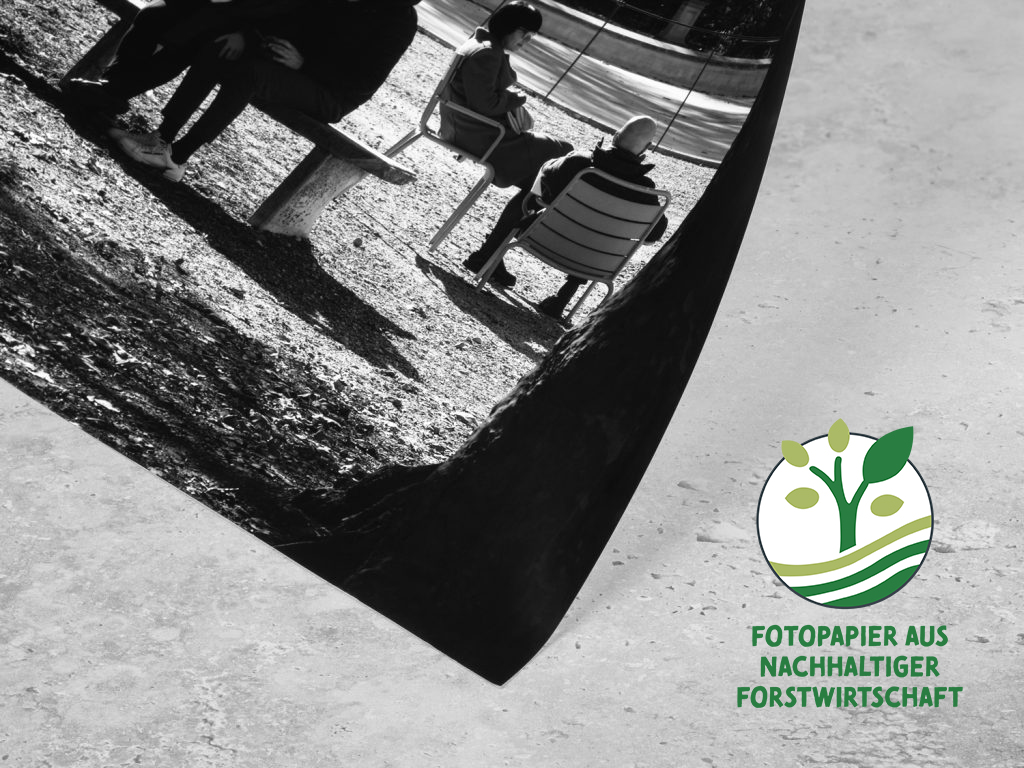 DETAILS Poster PP v FSC de 1024x768