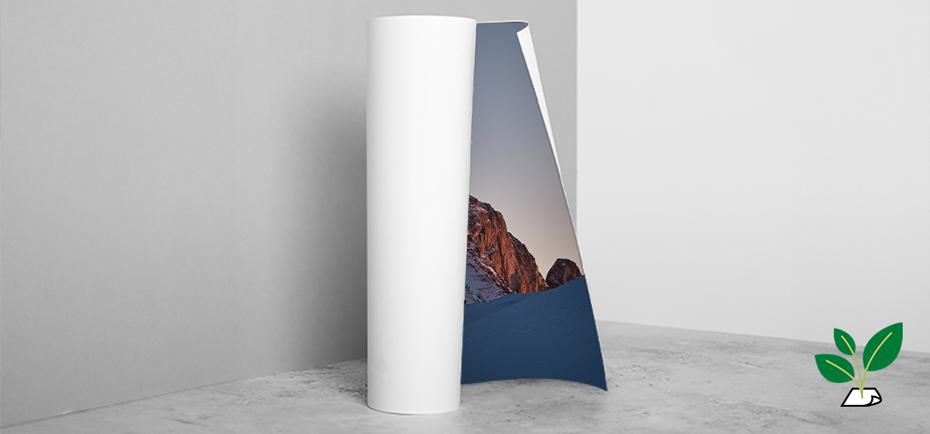 Low Banner P W PO v2