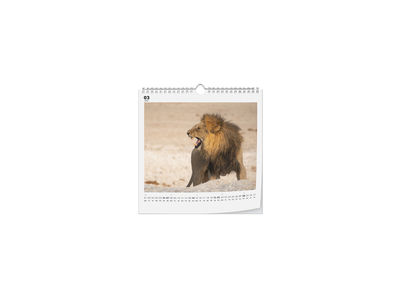 60007310 Wandkalender Fotopapier 20 x 20 2