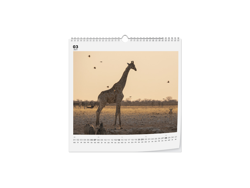 60007769 Wandkalender Fotopapier 30 x 30 2