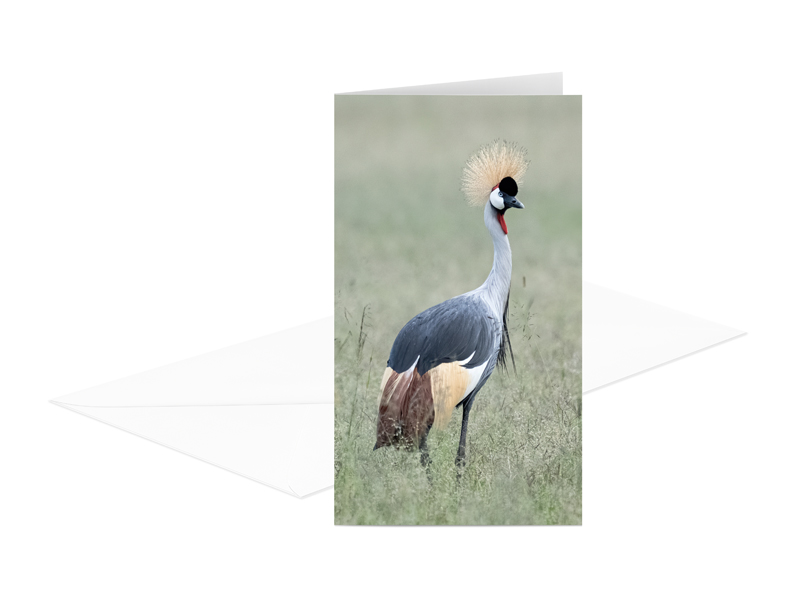 60007989 GK DD Kk 10x21 h (korr)