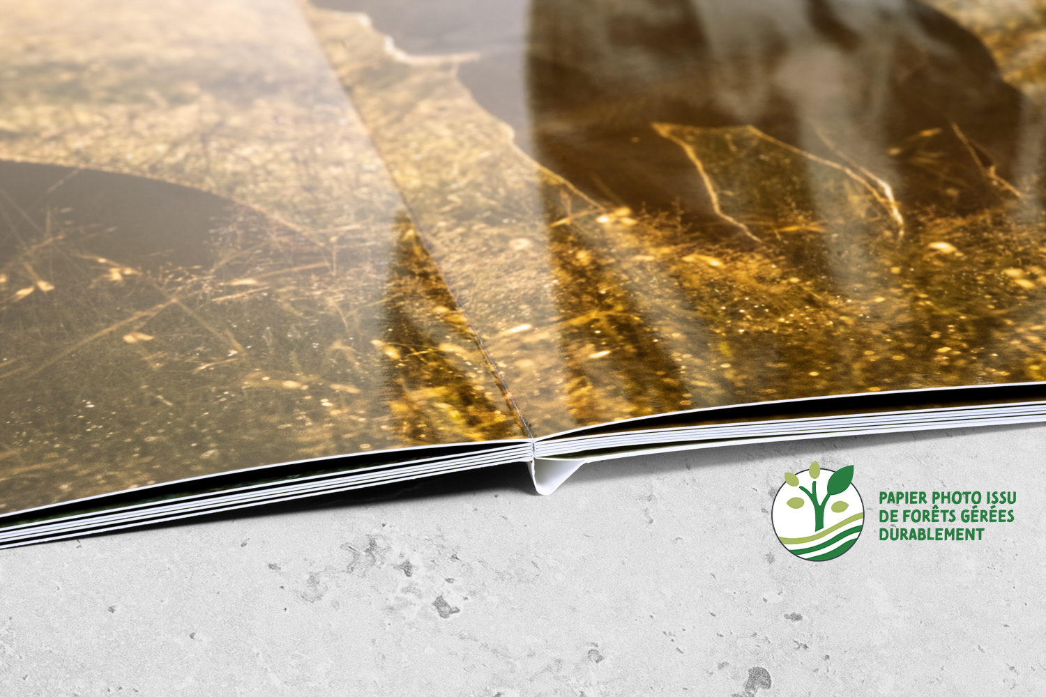 DETAILS Fotobuecher FP SC g 002 V2 1500 FSC fr