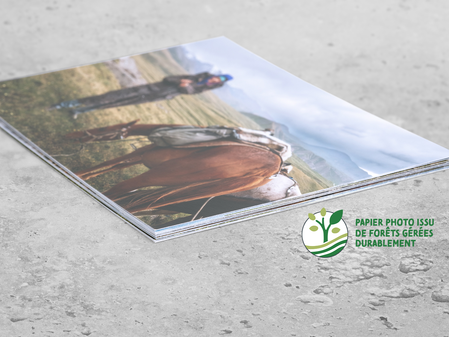 DETAILS Fotos Print 001 V1.1 1500 FSC fr