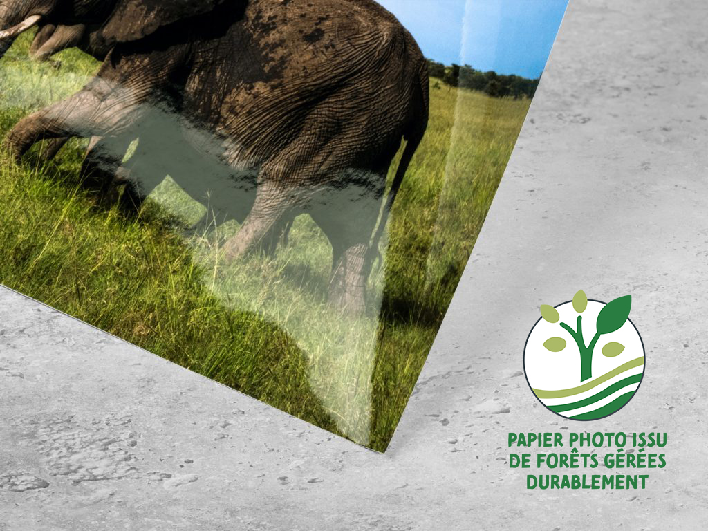 DETAILS Poster PP g FSC fr 1024x768