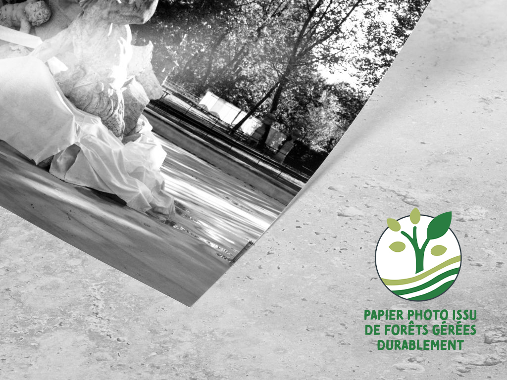 DETAILS Poster PP m FSC fr 1024x768 Kopie