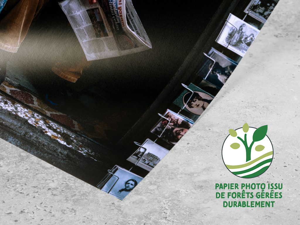 DETAILS Poster PP r FSC fr 1024x768