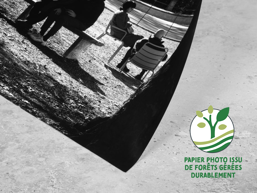 DETAILS Poster PP v FSC fr 1024x768