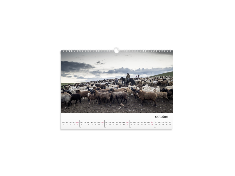 60007997 Wandkalender Digitaldruck A4 quer fr