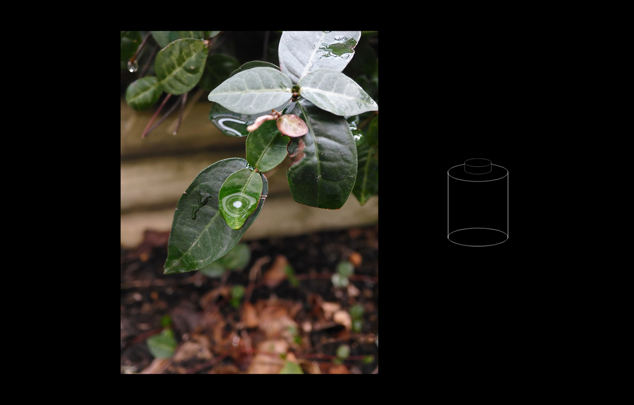 Collage Modi X Half neu 2