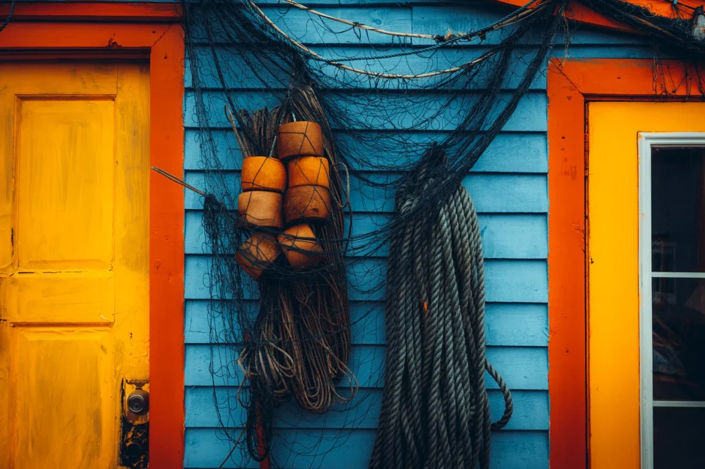 © Noah Gullage 