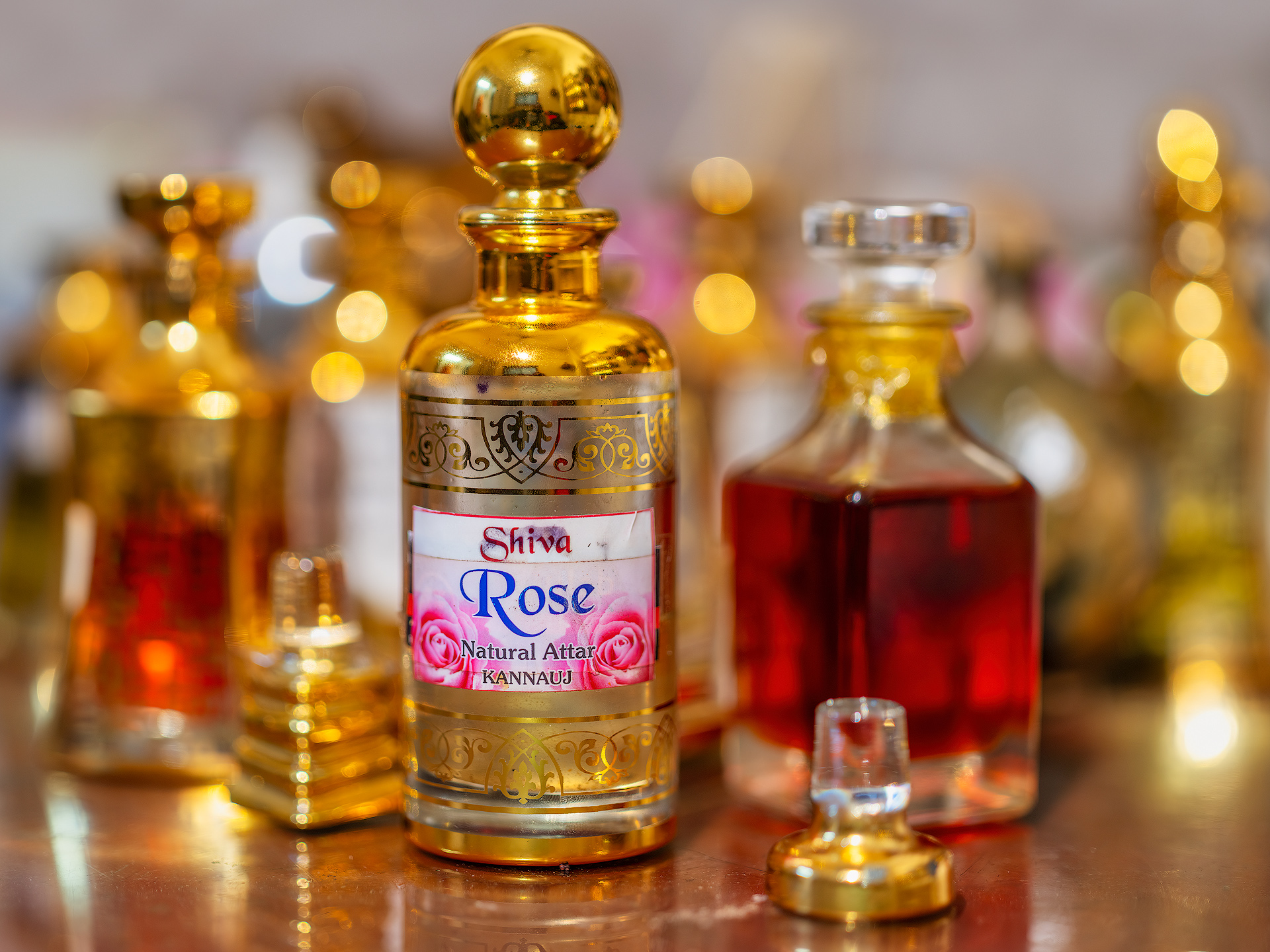 FD AlessandraMeniconzi 0238