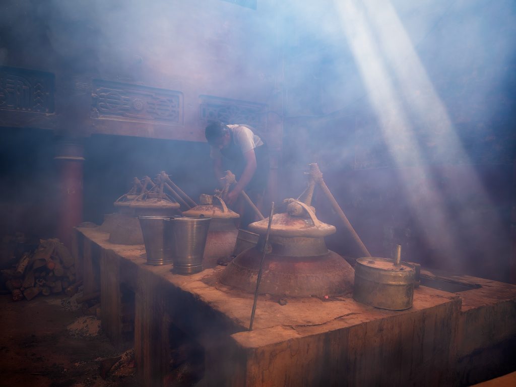 FD AlessandraMeniconzi 0527