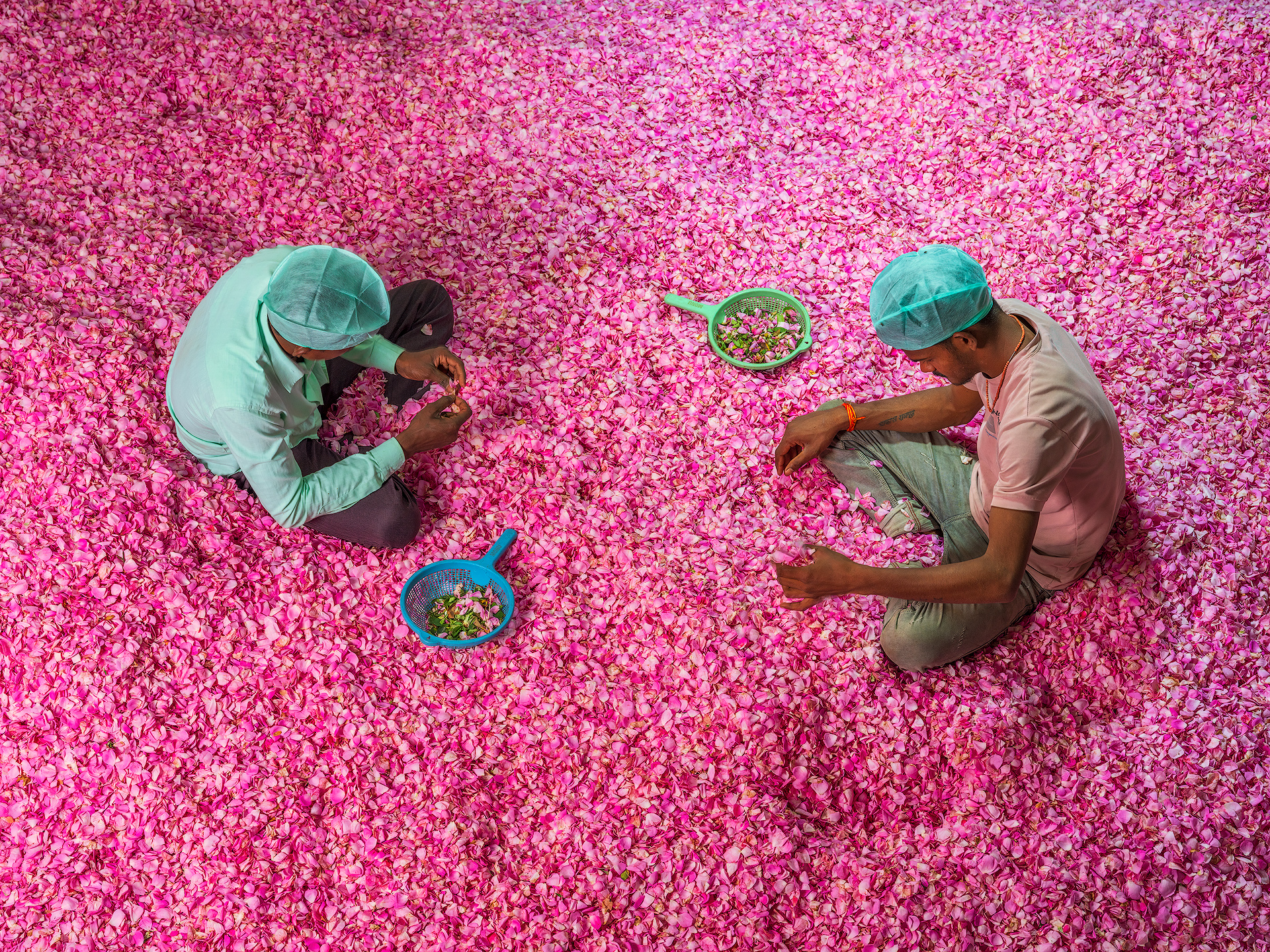 FD AlessandraMeniconzi 1884