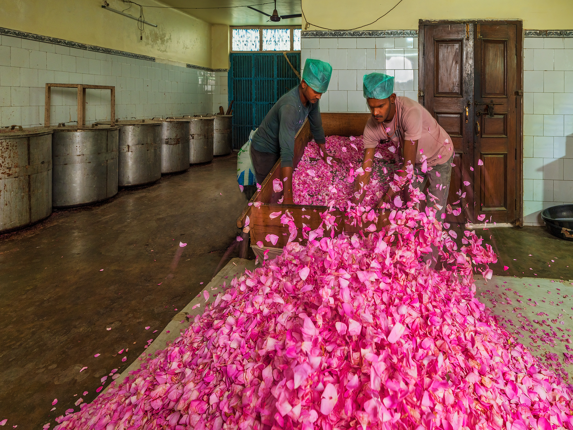 FD AlessandraMeniconzi 1952