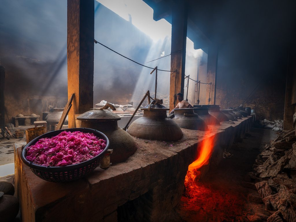 FD AlessandraMeniconzi 2089