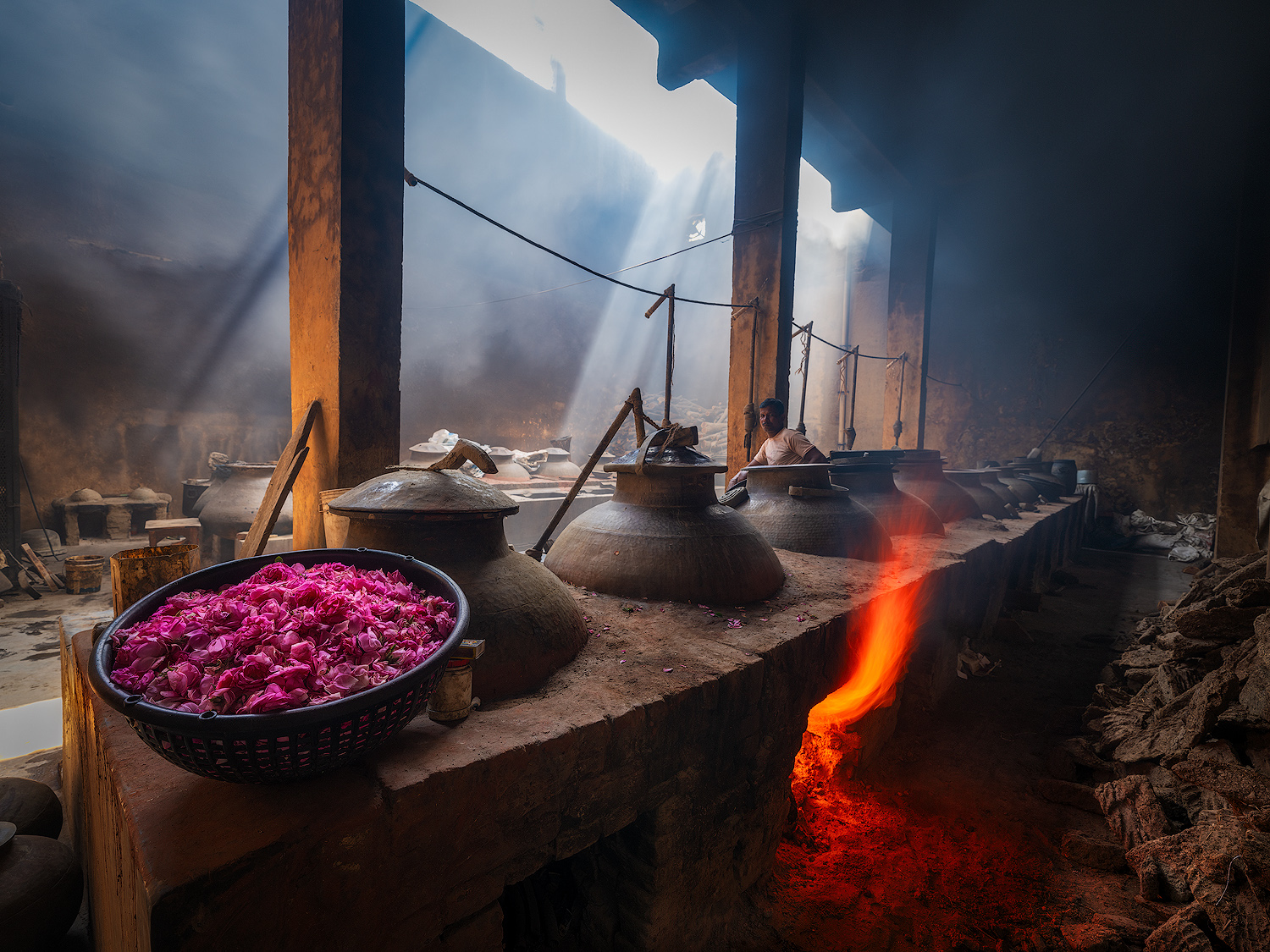 FD AlessandraMeniconzi 2089