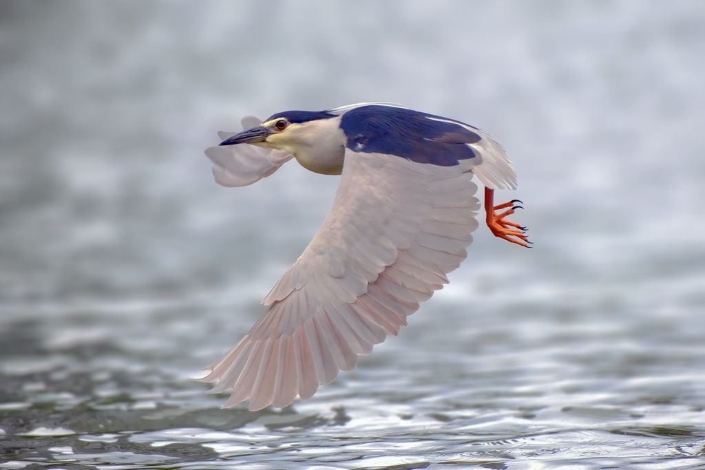 X T30 III Dong Yuan Latest AF 96033234