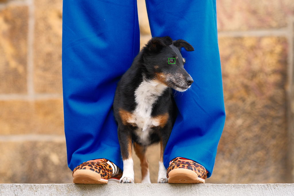 X T30 III Subject Detection Elke Vogelsang 96c772bd