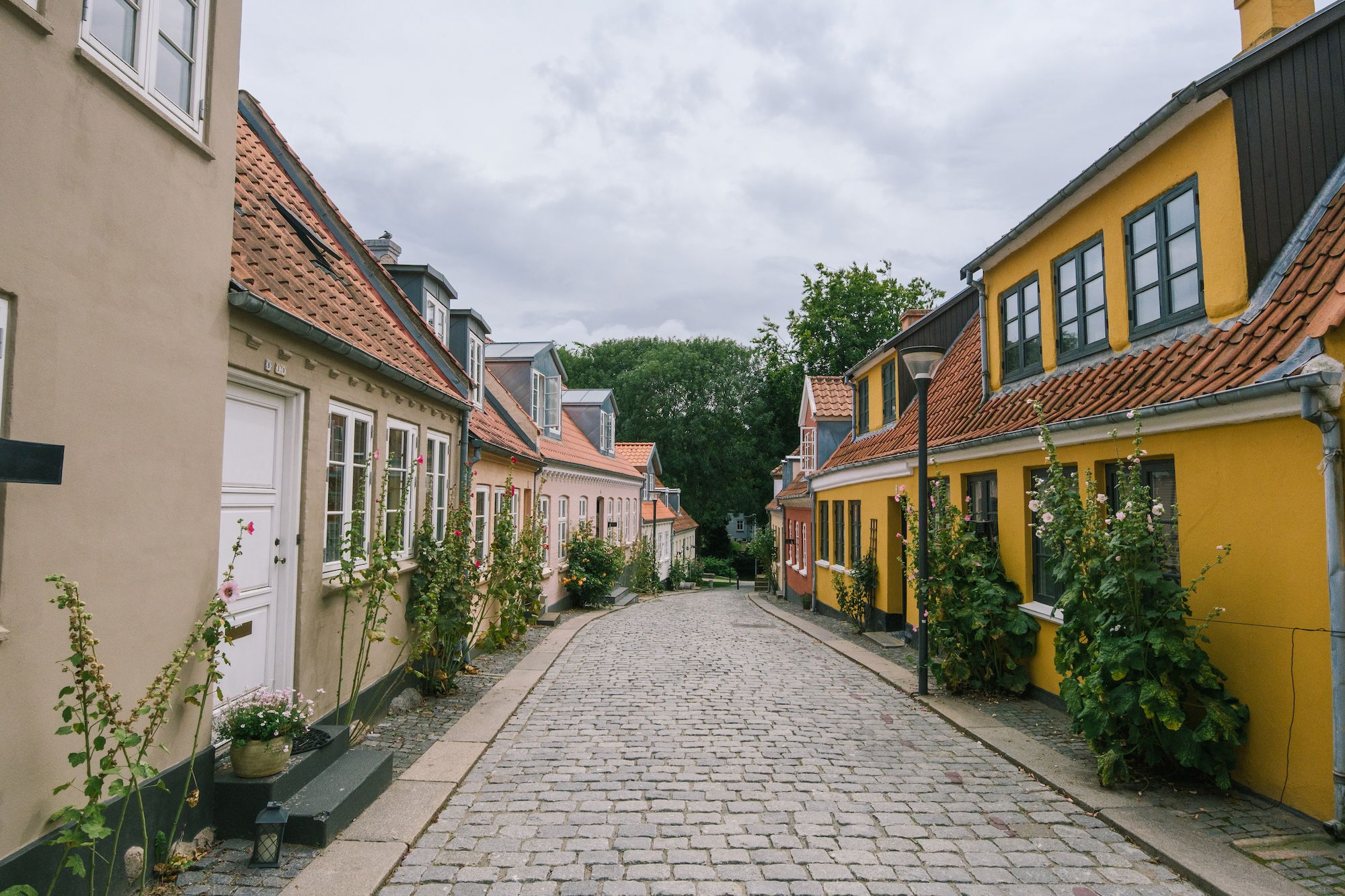 xc13 33mmf35 63 product overview 5.jpg