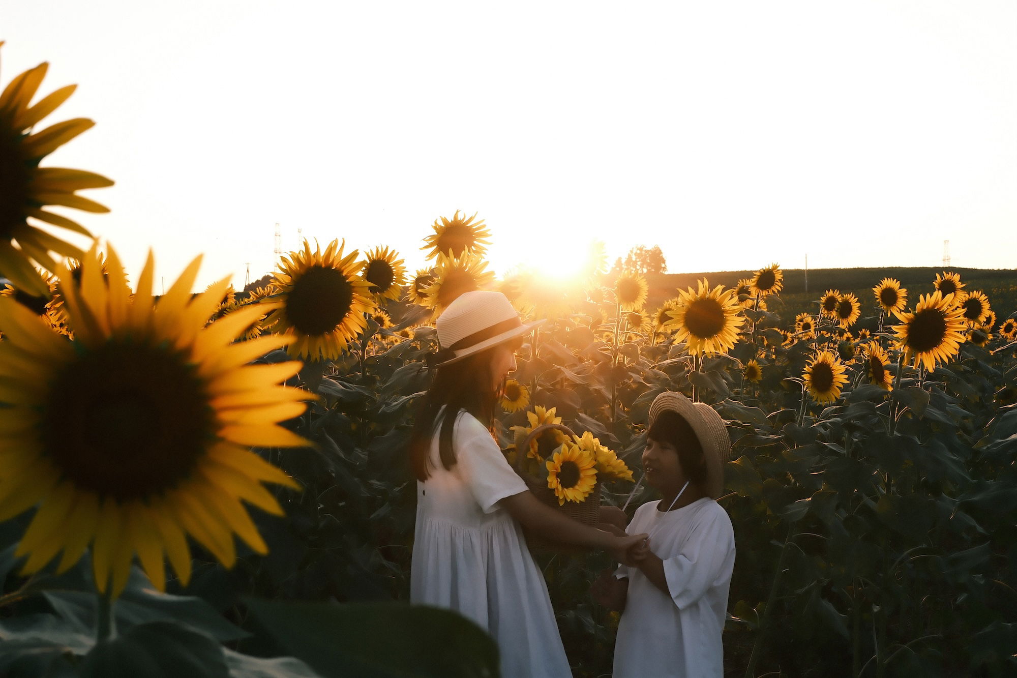 xc13 33mmf35 63 product overview 6.jpg