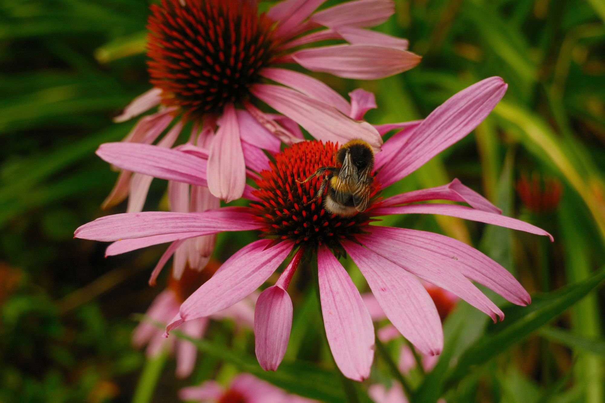 xc13 33mmf35 63 product overview 7.jpg