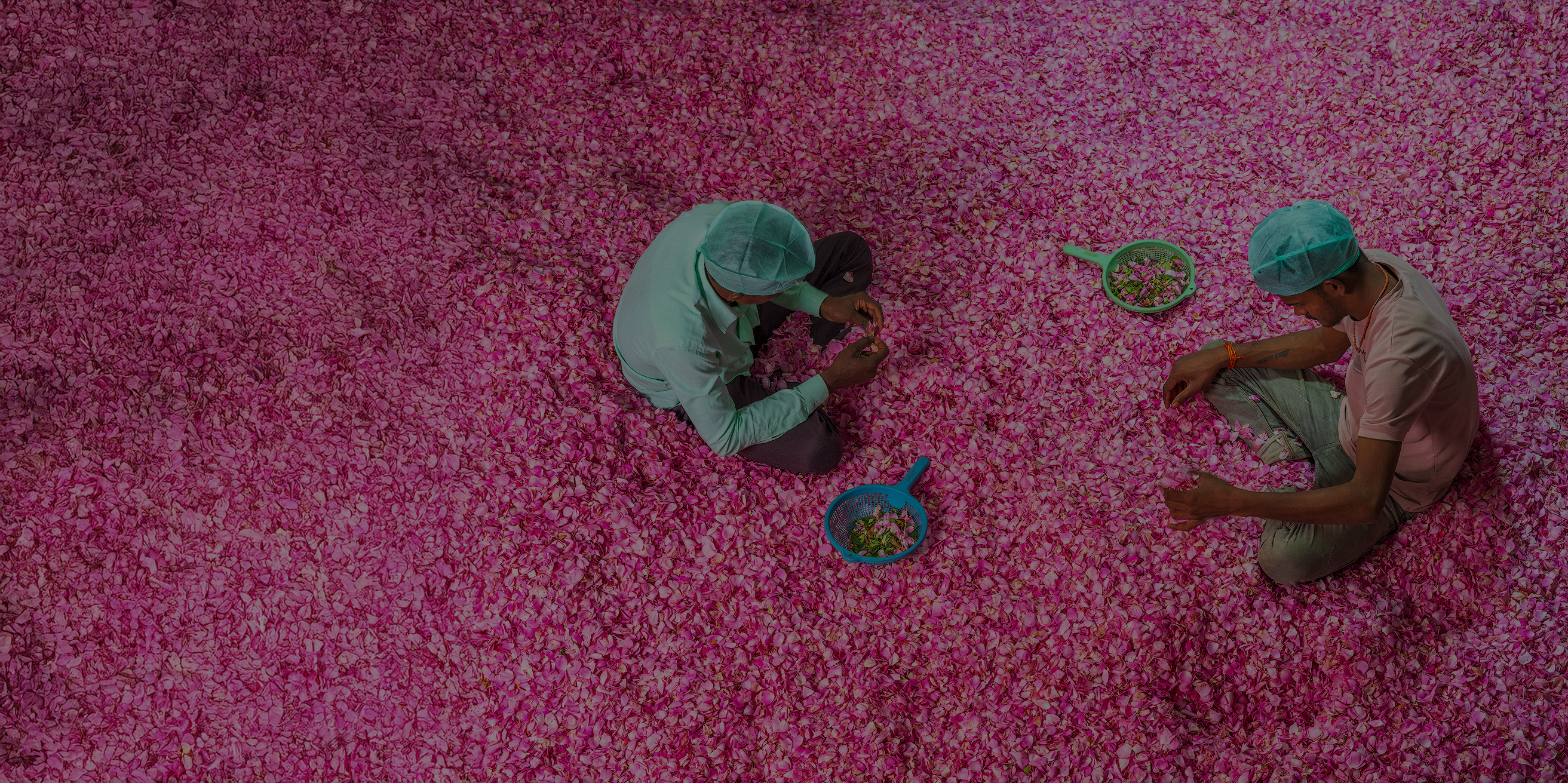 FD AlessandraMeniconzi 1884 Kopie