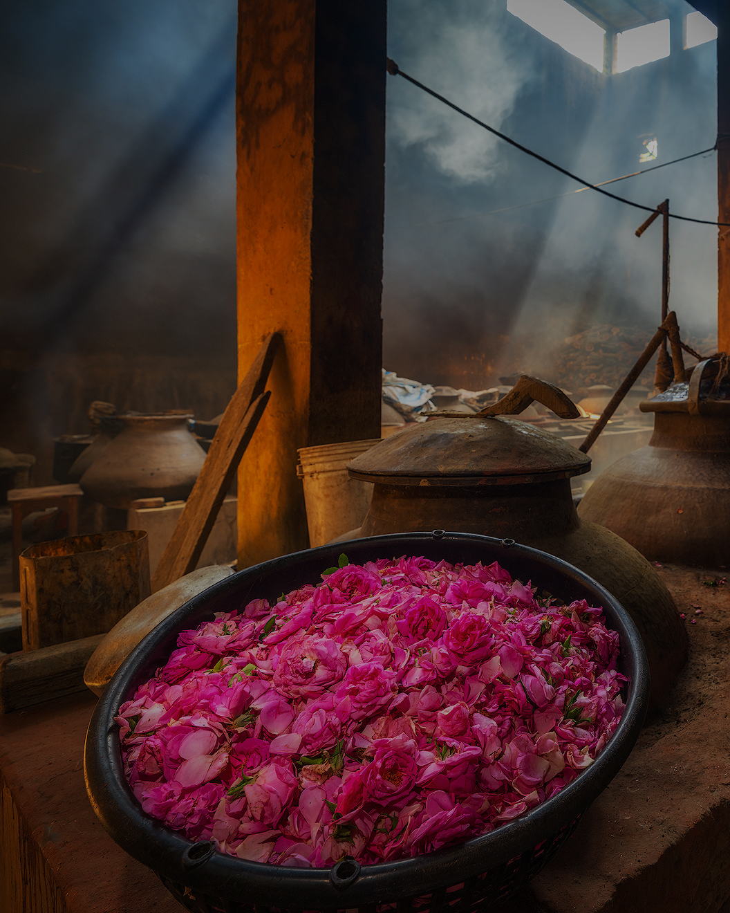 FD AlessandraMeniconzi 2104 Kopie