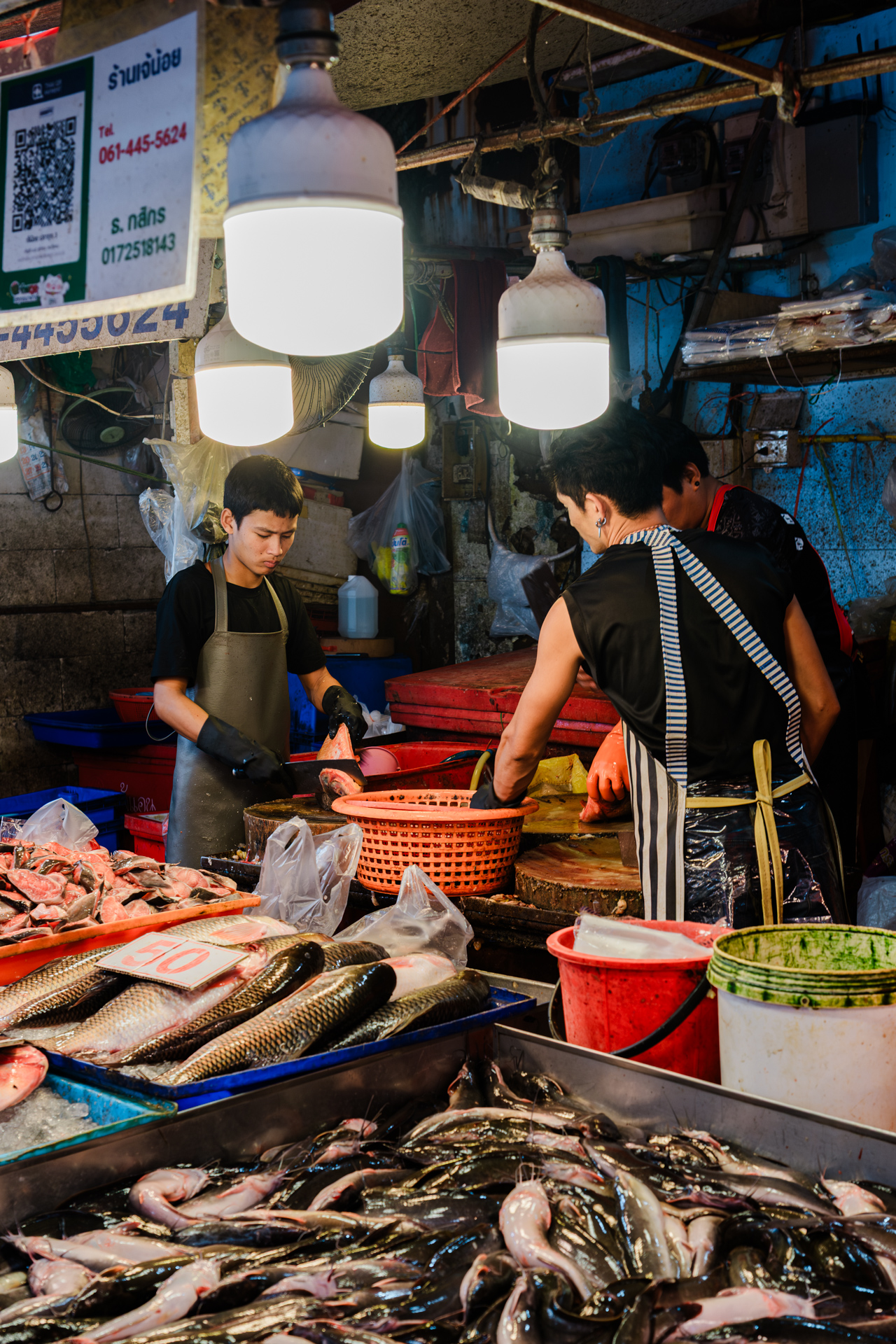 FD yvesseeholzer 115