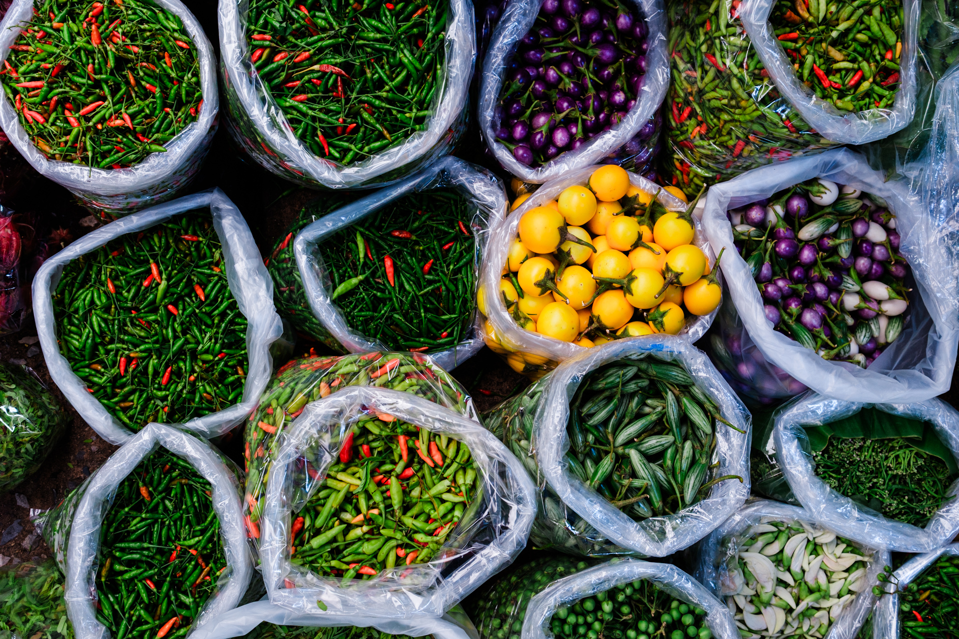 FD yvesseeholzer 118