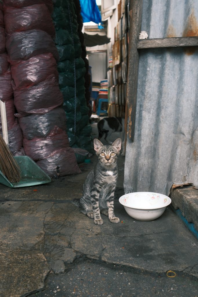 FD yvesseeholzer FujiXweekly RealaACA 20