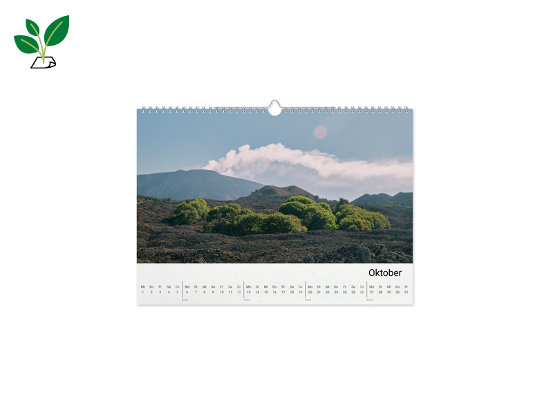 60010955 FK DD Wk Nat A4 q v2