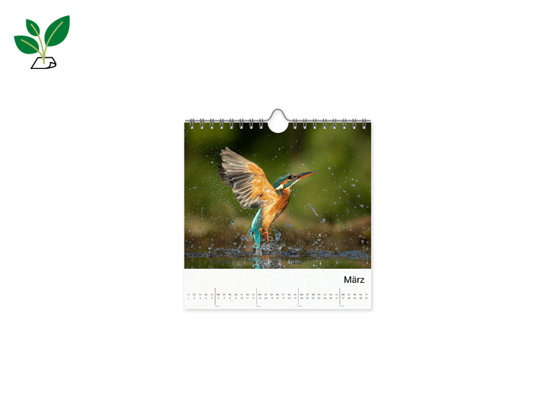 60012141 FK DD Wk Nat 20x20