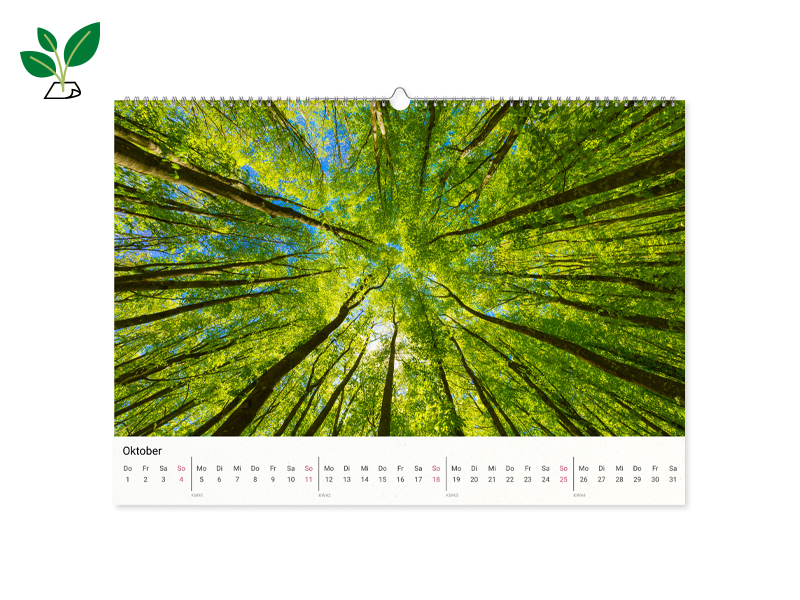 60012144 FK DD Wk Nat A3 q