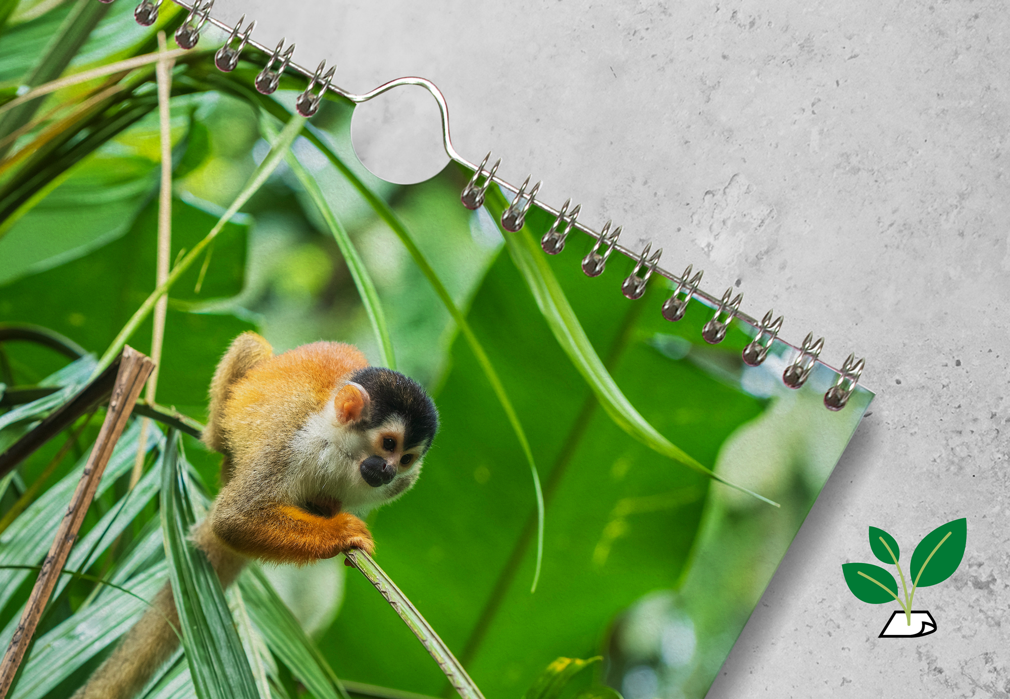 DET Nat WK Recycling